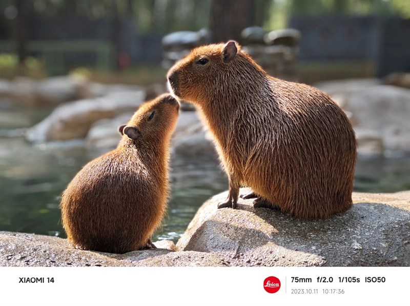 Ảnh chụp bởi camera của Xiaomi 14 Ảnh chụp bởi camera của Xiaomi 14