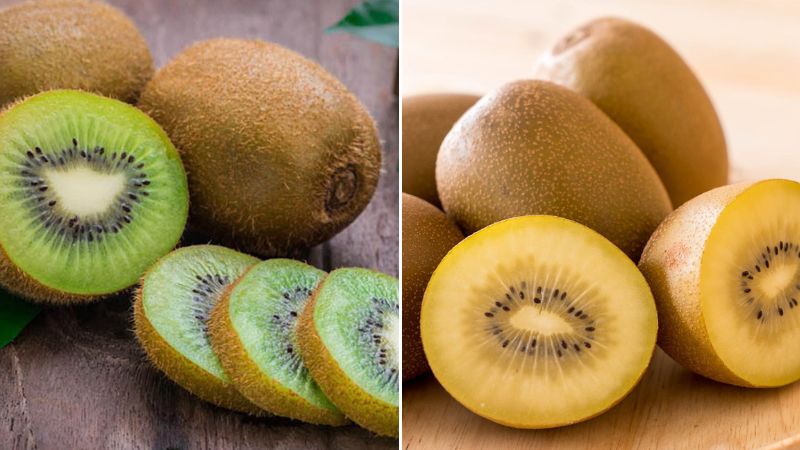 Bạn có thể dễ dàng phân biệt kiwi vàng và kiwi xanh dựa vào hình dáng