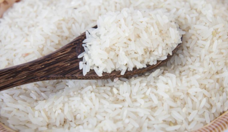 Giá lúa gạo hôm nay 28/10/2023: Đi ngang ngày cuối tuần