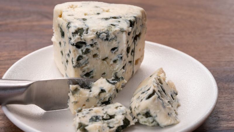 Phô mai xanh (blue cheese) là gì? Những lợi ích của phô mai xanh - HAYAN.VN