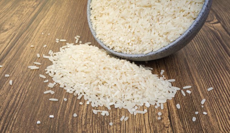 Giá lúa gạo hôm nay 31/10/2023: Giữ mức ổn định