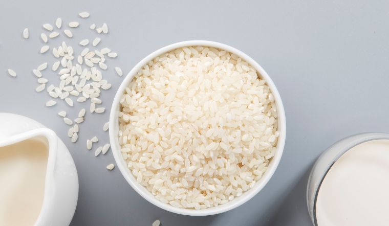 Giá lúa gạo hôm nay 02/11/2023: Lúa OM 18 tăng 200 đồng/kg