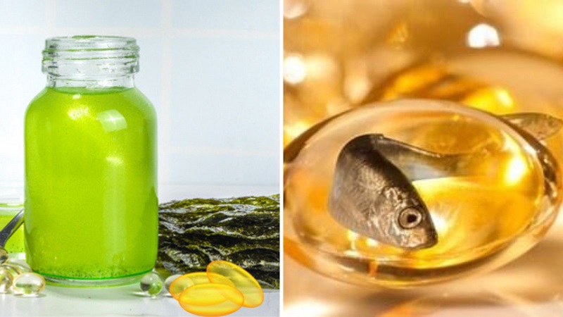 Sự khác biệt giữa dầu cá và dầu tảo