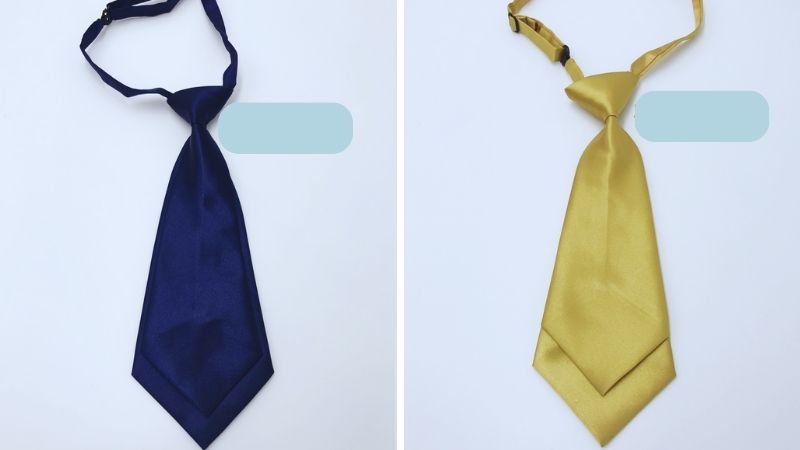 Pre-tied women's bow tie