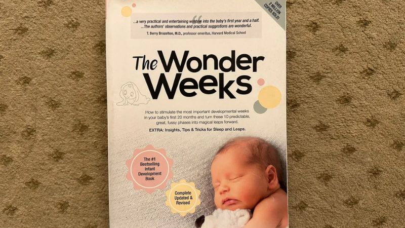 Lịch sử của Wonder Weeks