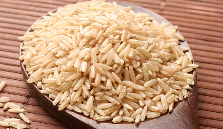 Giá lúa gạo hôm nay 04/11/2023: Tiếp tục duy trì ổn định