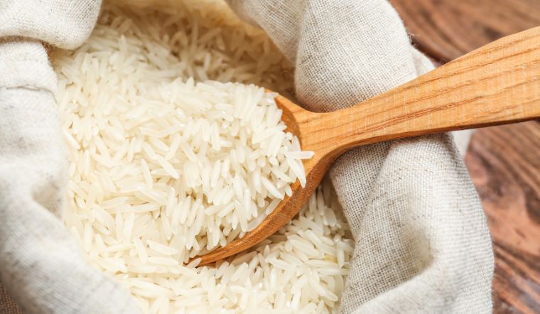 Giá lúa gạo hôm nay 07/11/2023: Lúa Đài thơm 8 tăng 100 đồng/kg