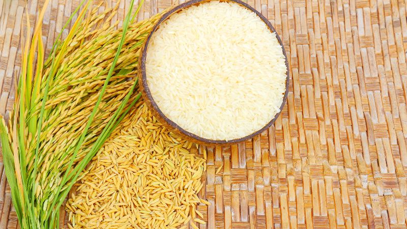 Giá gạo hôm nay 08/11