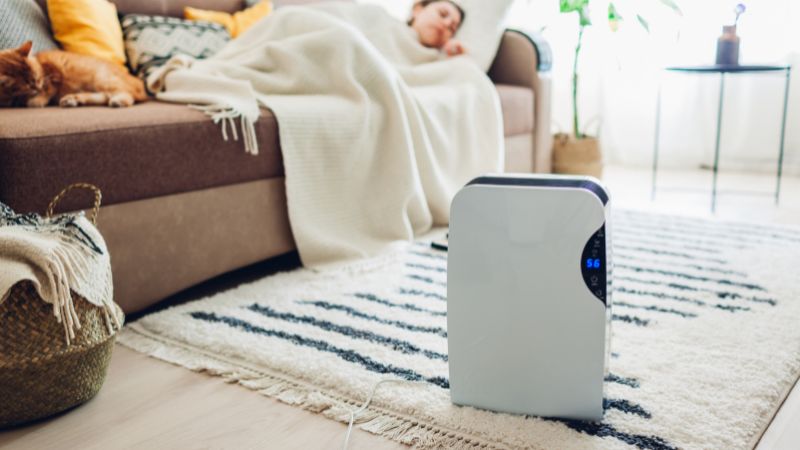 Use air purifiers to keep the house dry