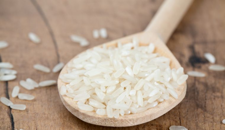 Giá lúa gạo hôm nay 09/11/2023: Duy trì mức ổn định