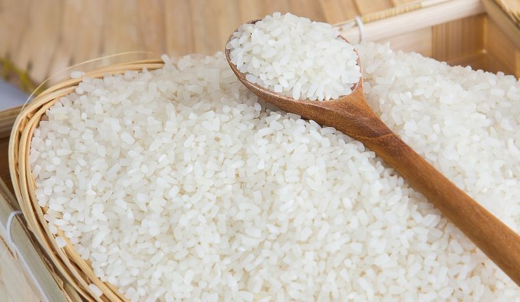 Giá lúa gạo hôm nay 10/11/2023: Vài giống lúa tăng giá