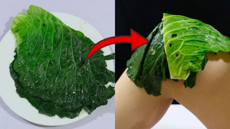 How to apply cabbage leaves on the body to reduce pain