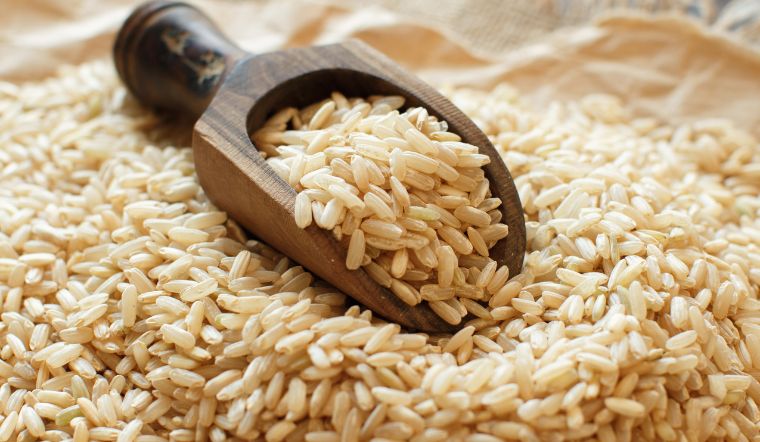 Giá lúa gạo hôm nay 16/11/2023: Không có thay đổi nào mới