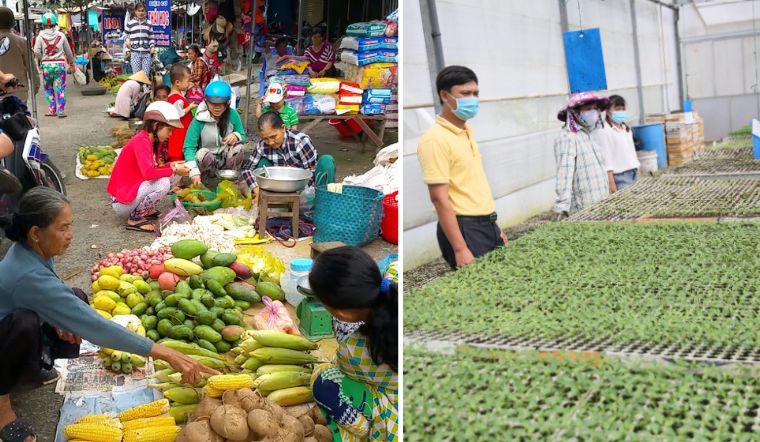 Du lịch Thanh Bình (Đồng Tháp): 2 địa điểm được yêu thích