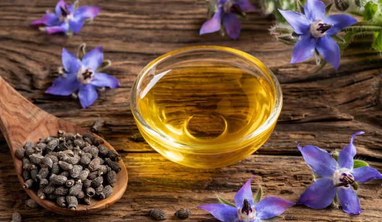 Borage oil là gì? Tác dụng của Borage oil đối với làn da