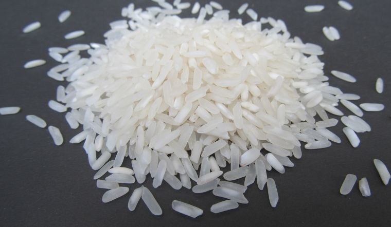 Giá lúa gạo hôm nay 18/11/2023: Đi ngang vào cuối tuần