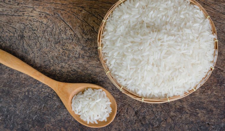 Giá lúa gạo hôm nay 21/11/2023: Không có sự thay đổi