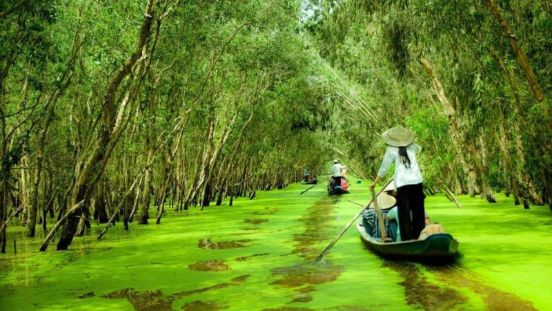 Bỏ túi 3 địa điểm du lịch U Minh Thượng (Kiên Giang) đáng trải nghiệm