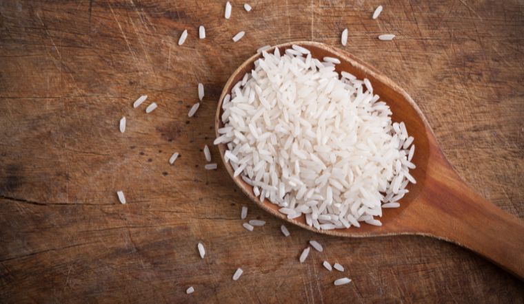 Giá lúa gạo hôm nay 22/11/2023: Lúa OM 5451 tăng 200 đồng/kg