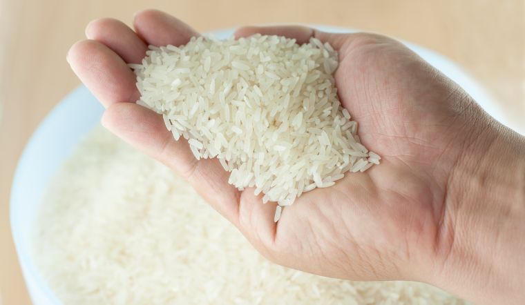 Giá lúa gạo hôm nay 23/11/2023: Duy trì đà đi ngang