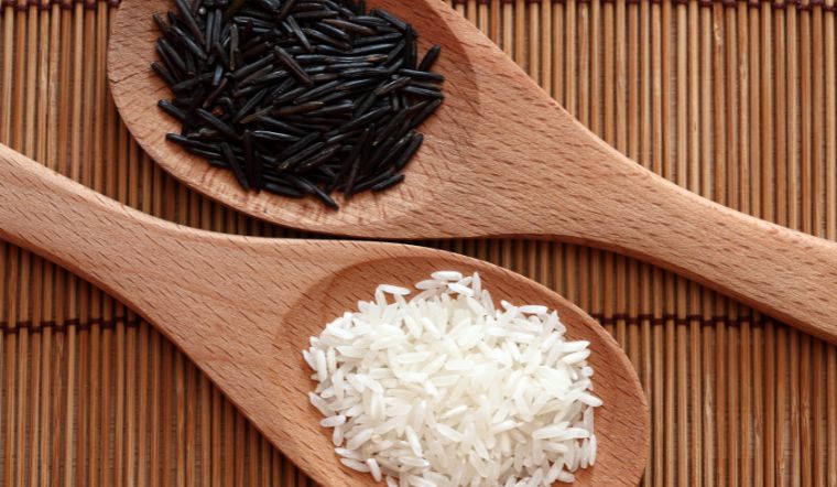 Giá lúa gạo hôm nay 25/11/2023: Vài giống lúa gạo thay đổi