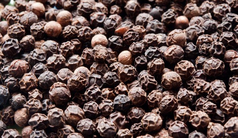 Giá tiêu hôm nay 28/11/2023: Tiếp tục đi ngang