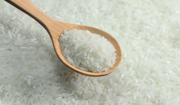 Giá lúa gạo hôm nay 28/11/2023: Lúa Nàng Hoa 9 giảm 100 đồng/kg