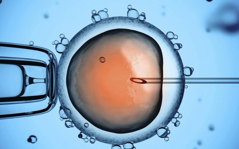 Thụ tinh trong ống nghiệm (IVF) có thể ảnh hưởng đến việc sinh đôi 1 trai 1 gái
