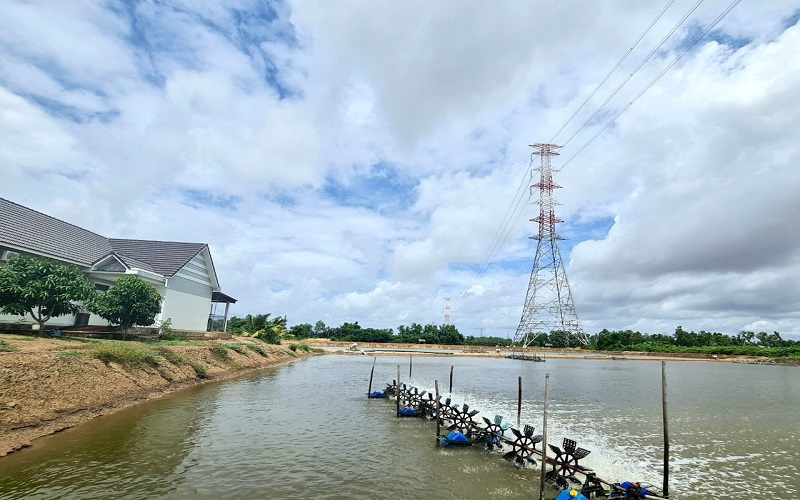 Khám phá 3 địa điểm du lịch Long Phú (Sóc Trăng) được ưa chuộng