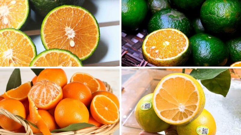 5 loại cam ngon mẹ sau sinh có thể ăn