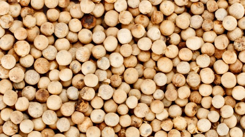 Giá tiêu thế giới Giá tiêu thế giới