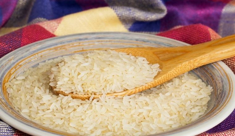 Giá lúa gạo hôm nay 04/12/2023: Nhiều giống lúa thay đổi