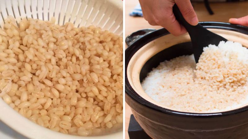 Mochi mugi barley rice