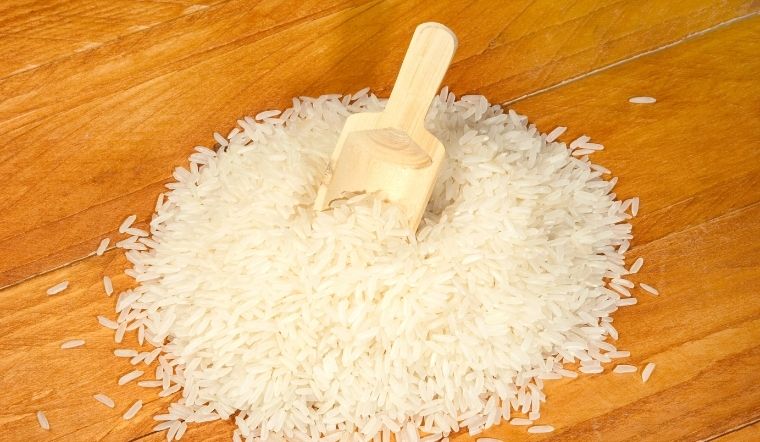 Giá lúa gạo hôm nay 06/12/2023: Nhiều giống lúa tăng giá