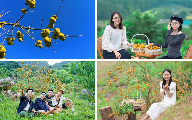 Bản Vặt Farm Mộc Châu là một địa điểm du lịch cộng đồng mới nổi ở Mộc Châu, Sơn La