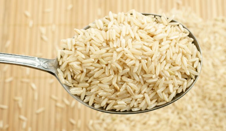 Giá lúa gạo hôm nay 09/12/2023: Không thay đổi giá