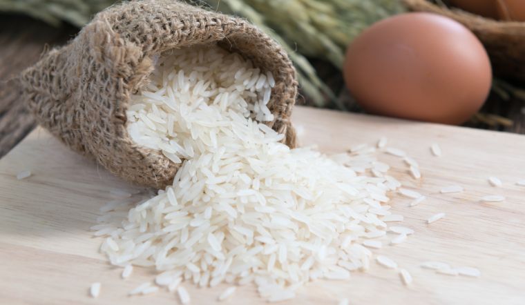 Giá lúa gạo hôm nay 11/12/2023: Duy trì mức ổn định