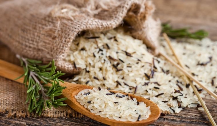 Giá lúa gạo hôm nay 13/12/2023: Nhiều giống lúa gạo thay đổi