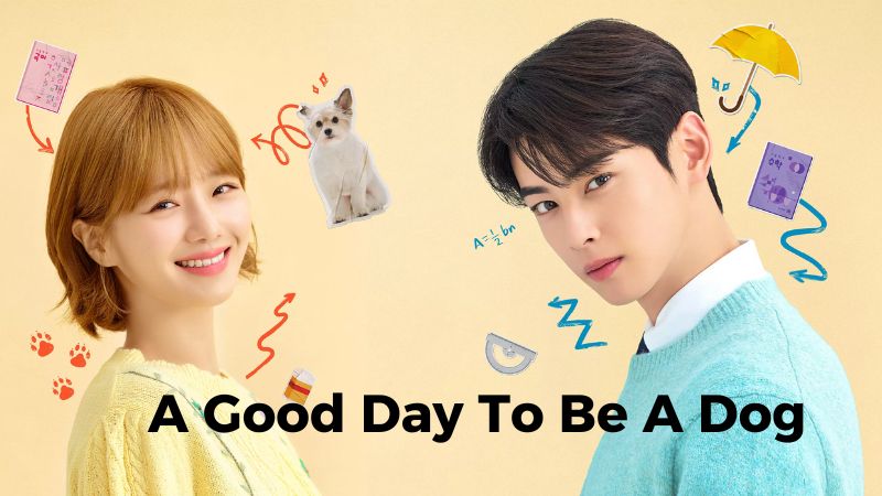 Ngày Đẹp Để Trở Thành Cún - A Good Day To Be A Dog