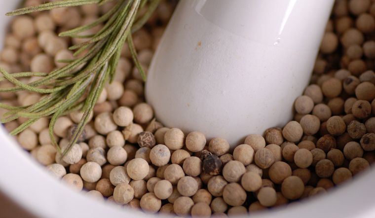 Giá tiêu hôm nay 16/12/2023: Tiếp tục tăng 1.500 đồng/kg