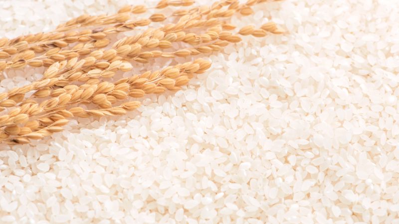 Giá gạo hôm nay 16/12