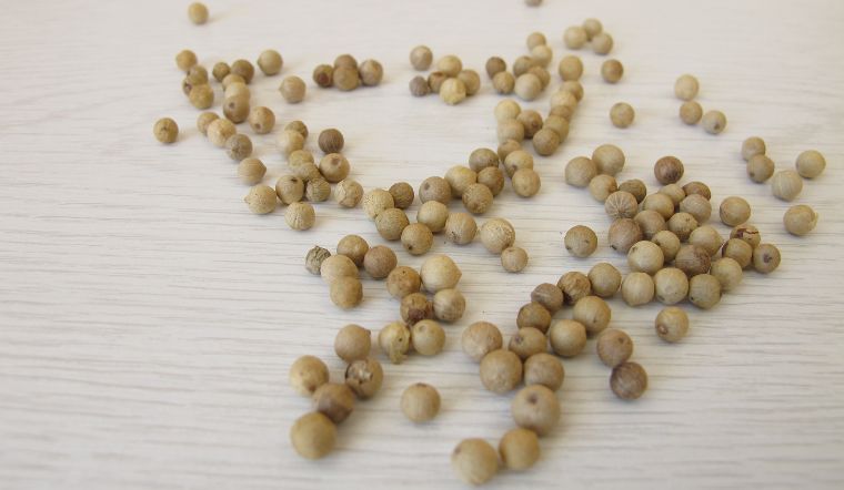 Giá tiêu hôm nay 19/12/2023: Giữ ổn định sau đợt tăng