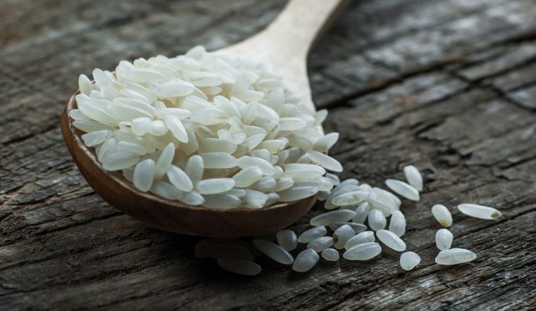 Giá lúa gạo hôm nay 19/12/2023: Không có thay đổi