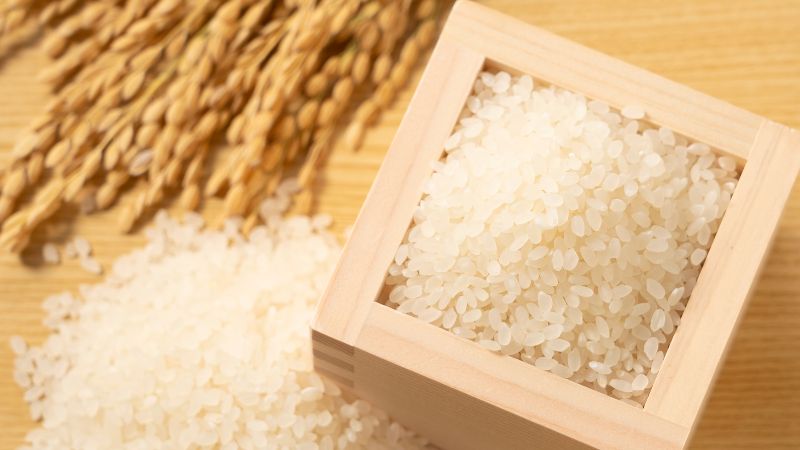 Giá gạo hôm nay 20/12 Giá gạo hôm nay 20/12