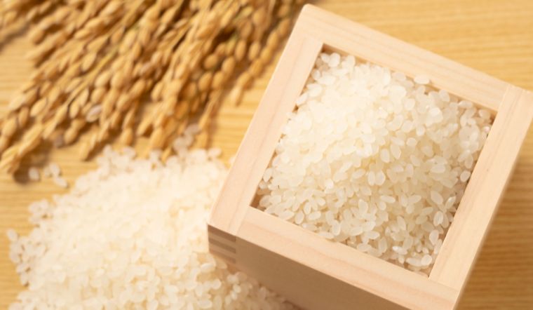 Giá lúa gạo hôm nay 20/12/2023: Gạo thường giảm 100 đồng/kg