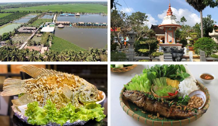 Top 2 địa điểm du lịch Tam Bình (Vĩnh Long) cho chuyến đi hấp dẫn