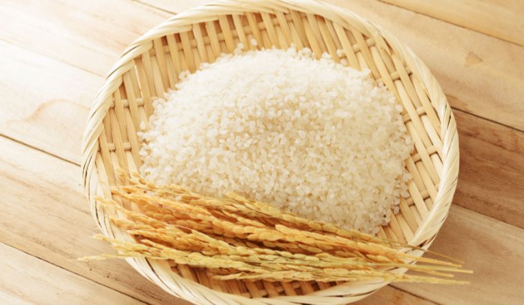 Giá lúa gạo hôm nay 21/12/2023: Không tăng không giảm