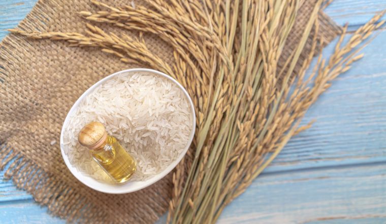 Giá lúa gạo hôm nay 22/12/2023: Tiếp tục duy trì ở mức ổn định