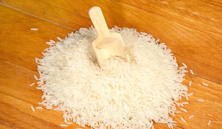 Giá lúa gạo hôm nay 23/12/2023: Duy trì đà đi ngang