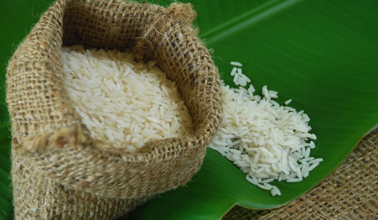 Giá lúa gạo hôm nay 26/12/2023: Nhiều giống lúa tăng 200 đồng/kg